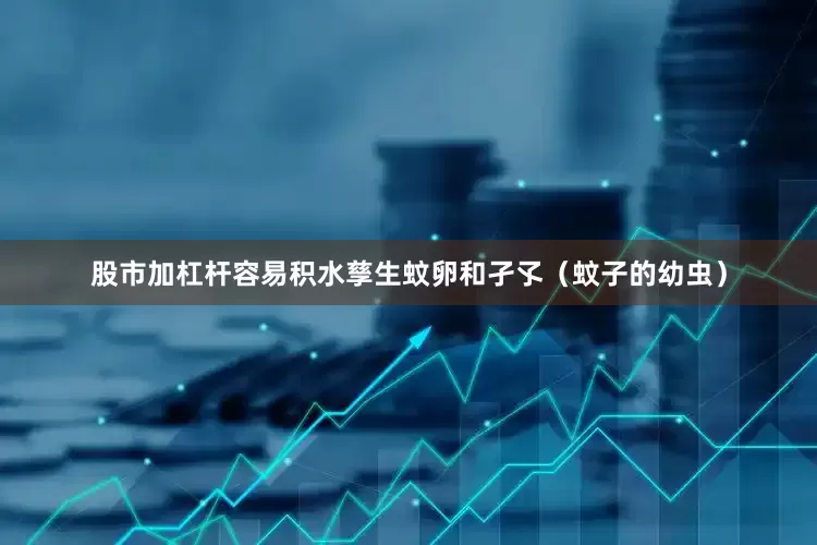 股市加杠杆容易积水孳生蚊卵和孑孓（蚊子的幼虫）