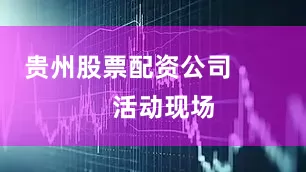 贵州股票配资公司          活动现场